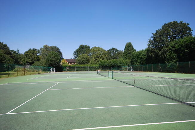 Photo 7