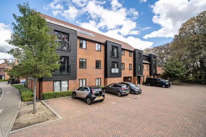 1520288 (1).jpg