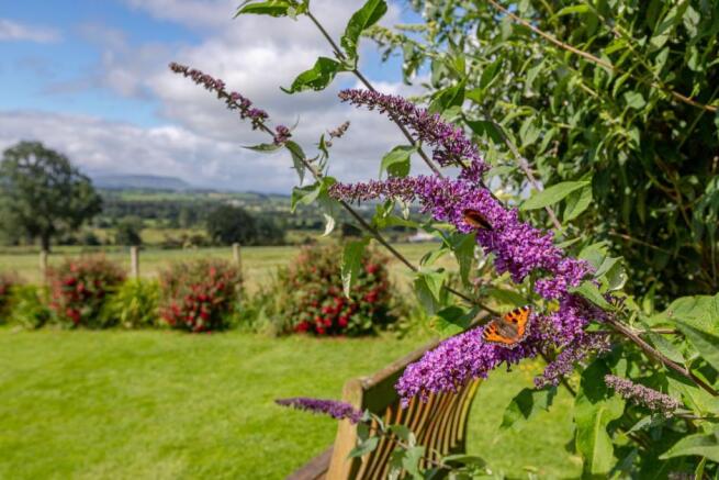 Garden Art