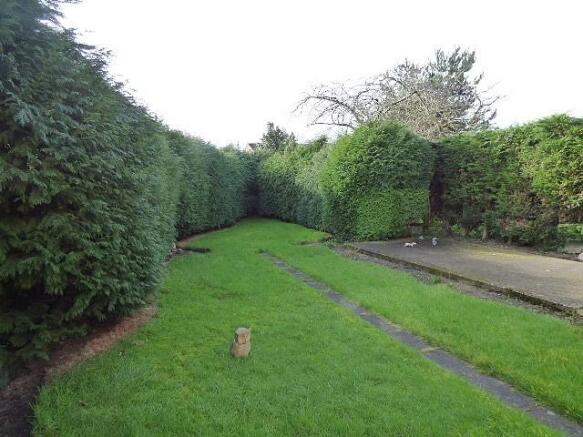 Garden 2