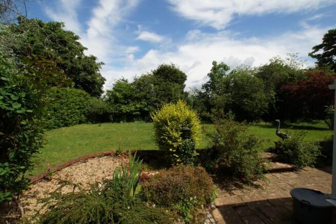 Back Garden