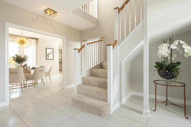 B1014-Maple x416-007