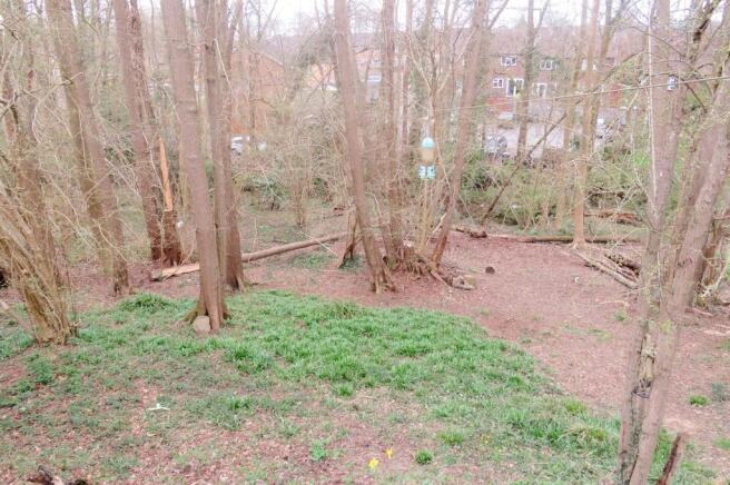 Woodland