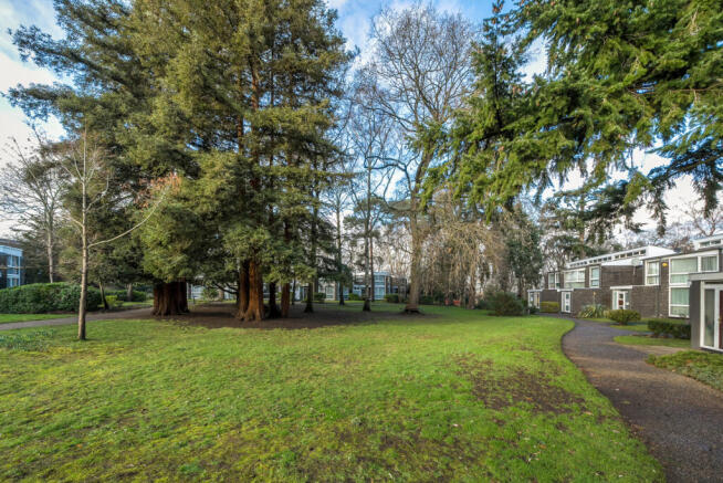 1399964-1-696a490...