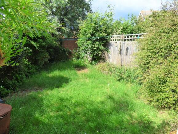 garden.jpg