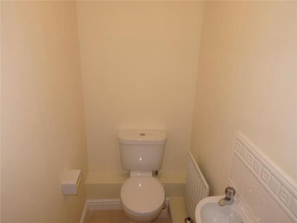 Picture 8
