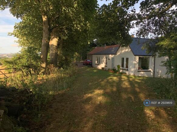 View Towards Cottage