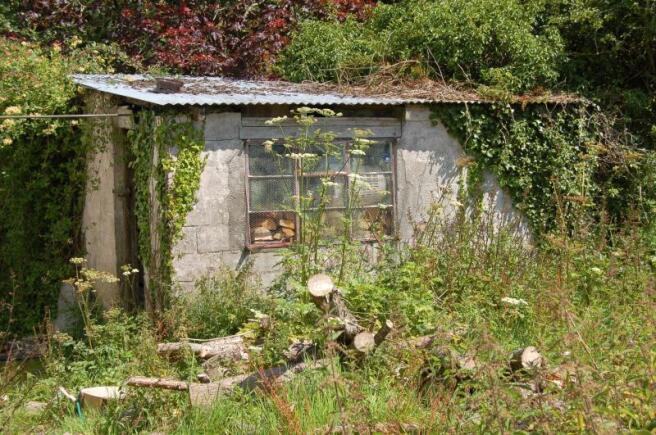 Picture No.15