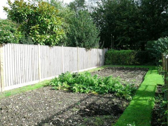 Vegetable Garden