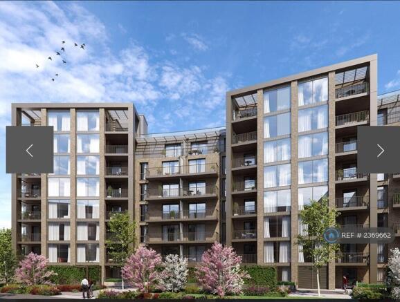 New Development 
