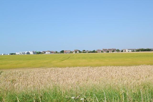 View over field looking at the property