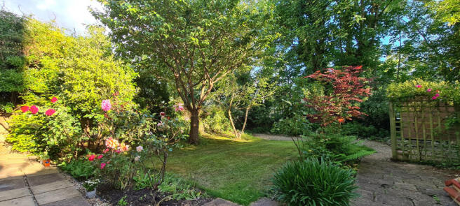 Garden Summer