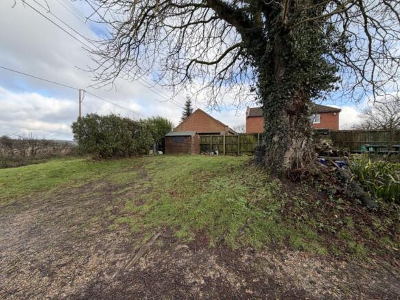 IMG 4920 T202601231330.jpg