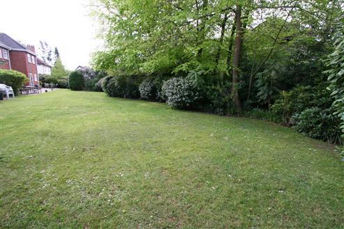 Rear Garden Alternate