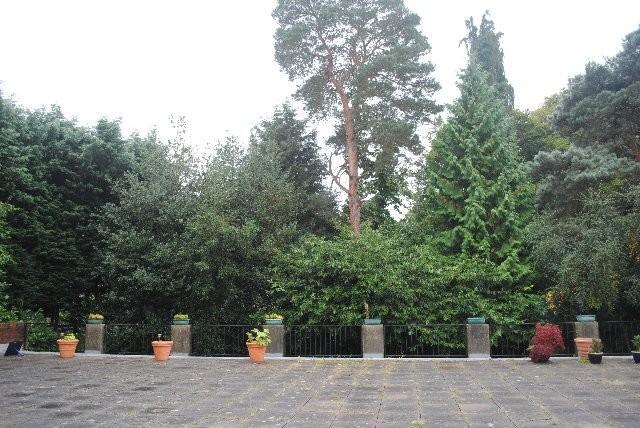 Private Terrace