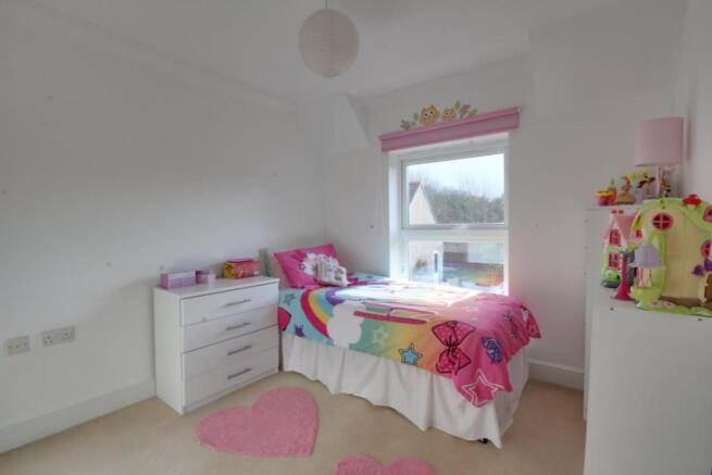 Picture 8