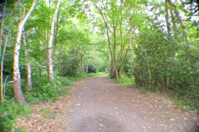 Woodlands