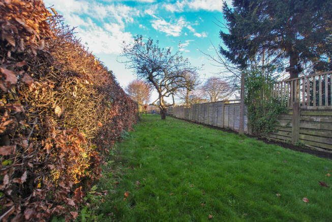 Long shot_edited