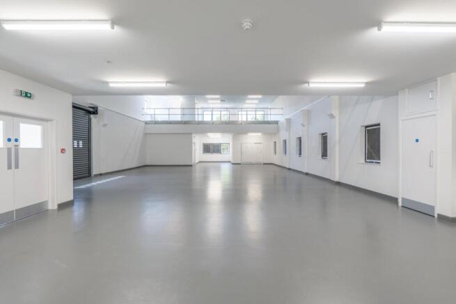 Adobe Express  file.jpg