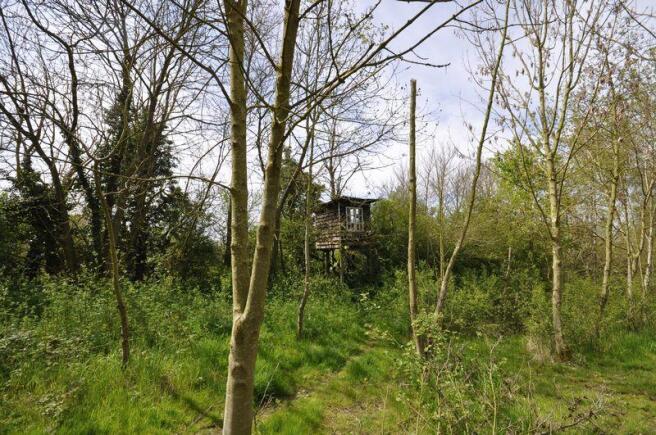 TREE HOUSE