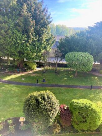 communal gardens 3