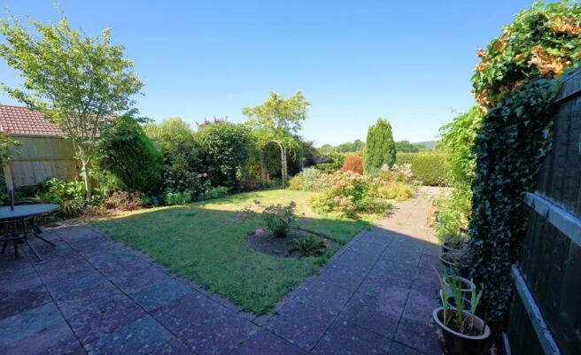 The garden