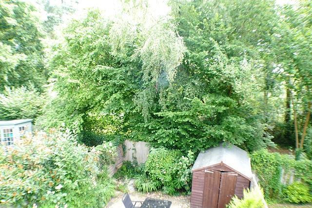 View to the Rear