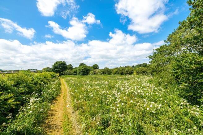 Wildlife Meadow