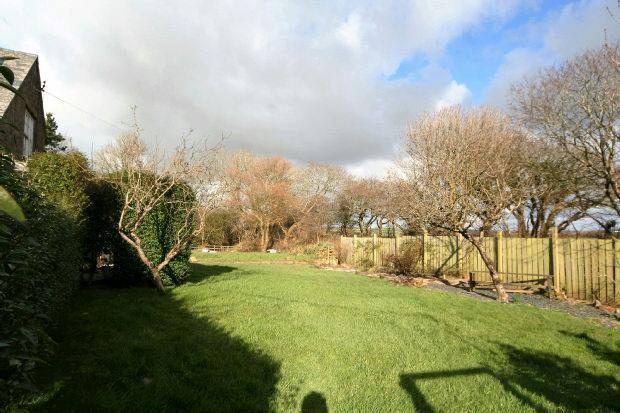 Garden 1