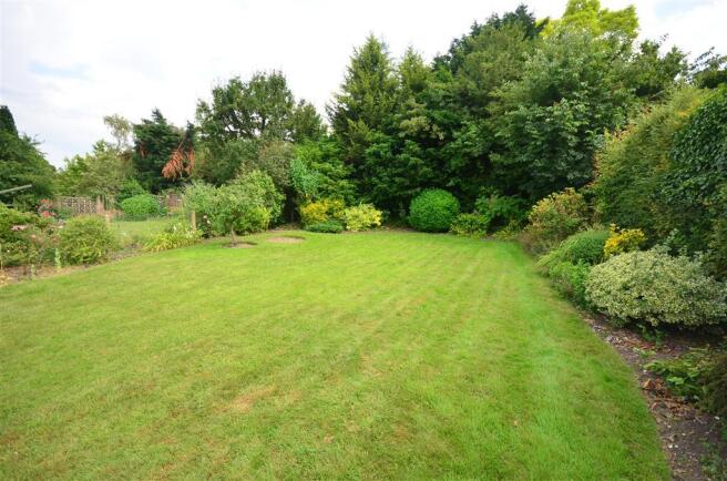 Rear Garden (Original)