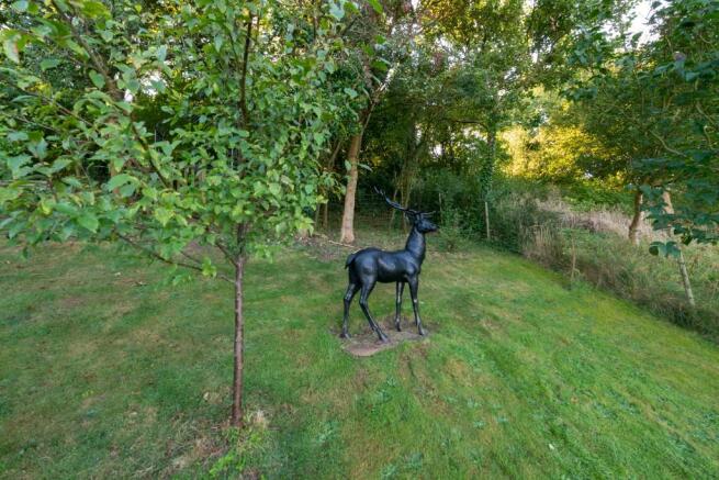 Wildlife (!)