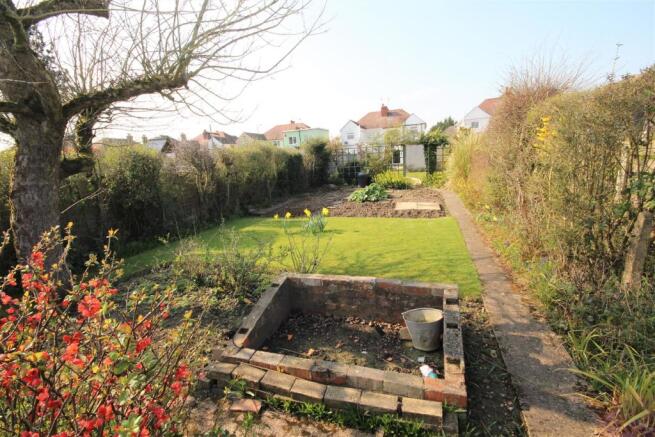 garden 7 .jpg