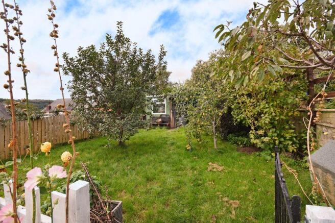 Orchard