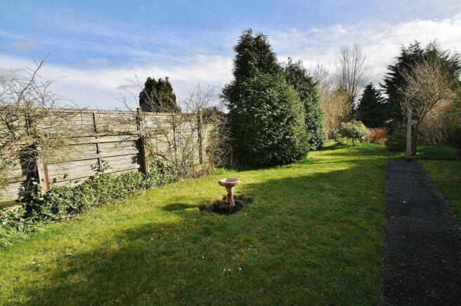 Garden Shot 1