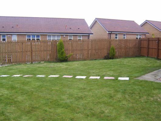 Garden Area