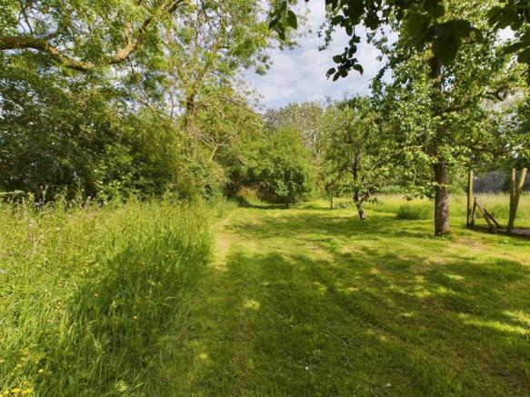 Woodland Area