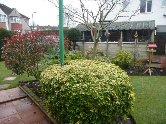 Photo 13