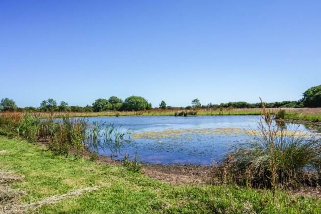 Lake