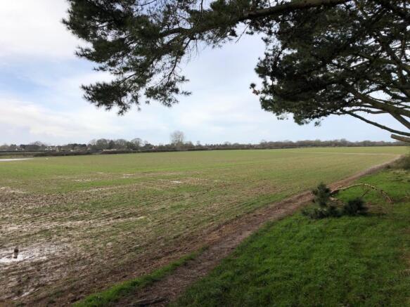 Local Walk