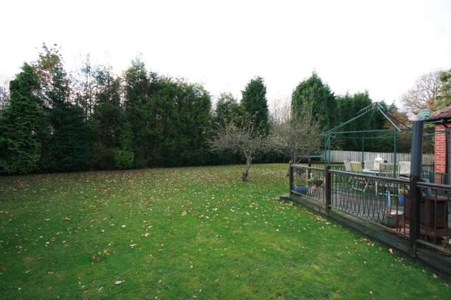 Photo14