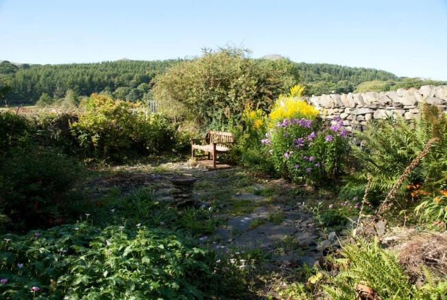 Garden and View