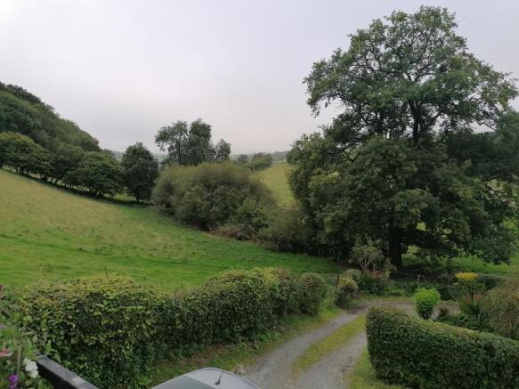 front garden and view