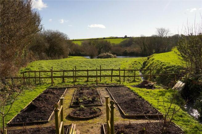 Veg Patch