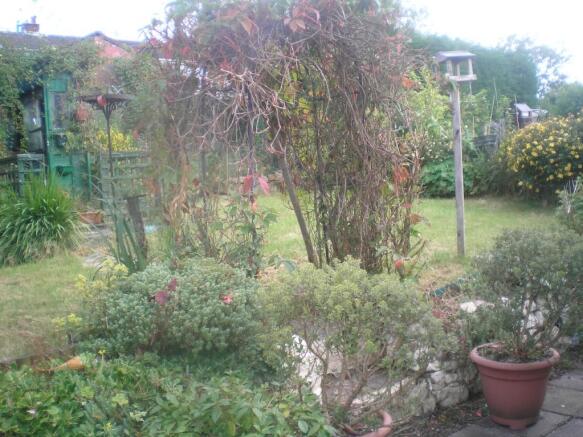 Photo 11