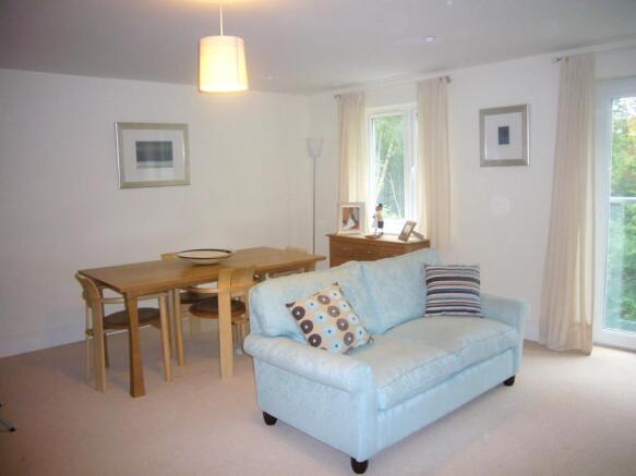 Living/dining area