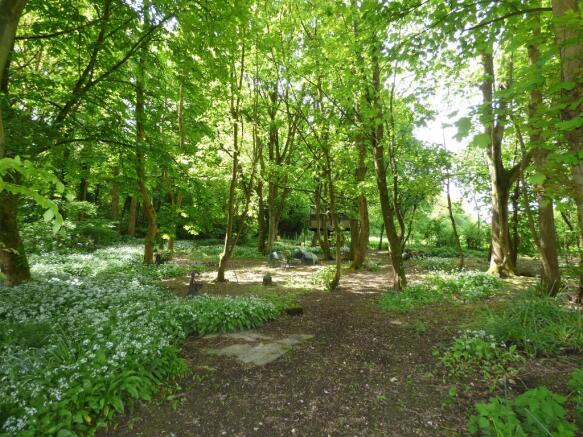 Woodland