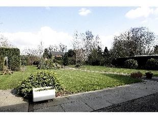 Further views of the garden