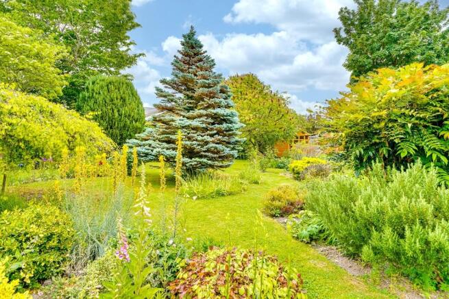 Back Garden