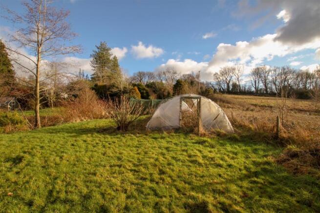 Polytunnel and land.jpg