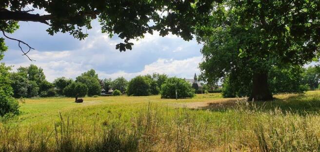 Nature reserve 1.jpg